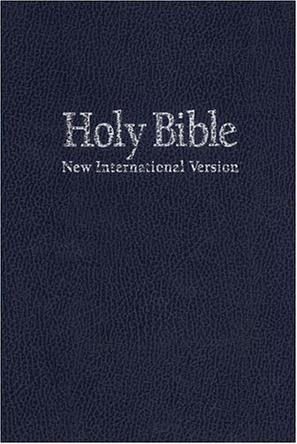 niv holy bible