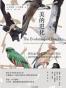 美的进化